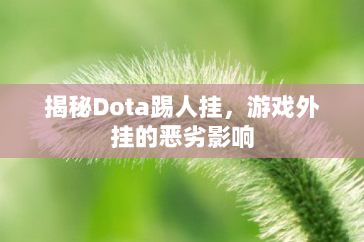 揭秘Dota踢人挂，游戏外挂的恶劣影响