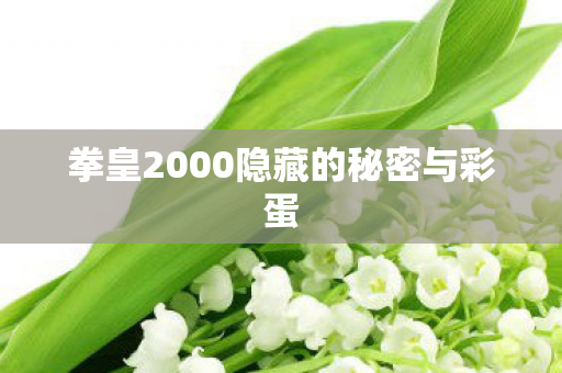 拳皇2000隐藏的秘密与彩蛋