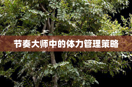 节奏大师中的体力管理策略