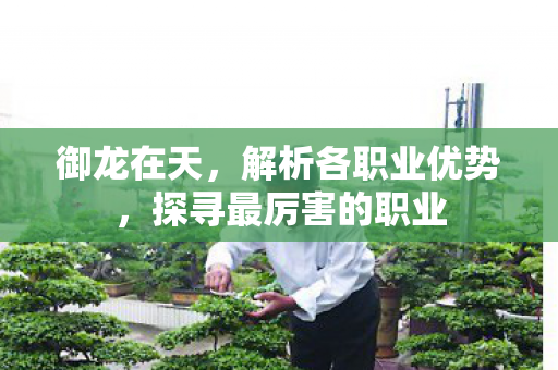 御龙在天，解析各职业优势，探寻最厉害的职业