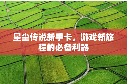 星尘传说新手卡，游戏新旅程的必备利器