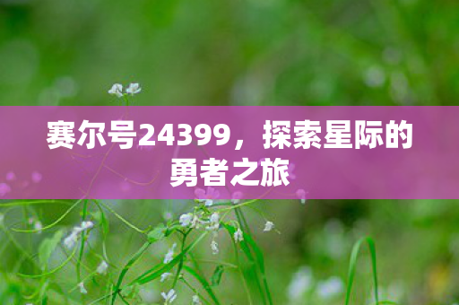 赛尔号24399，探索星际的勇者之旅