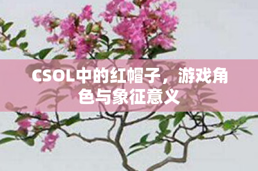 CSOL中的红帽子，游戏角色与象征意义