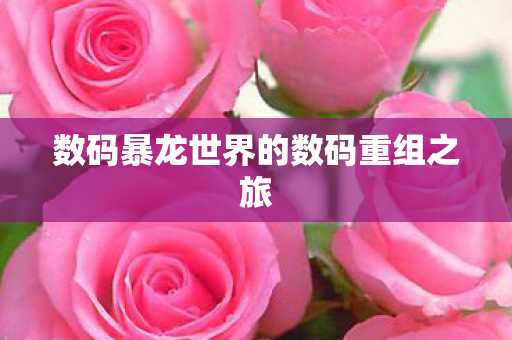 数码暴龙世界的数码重组之旅
