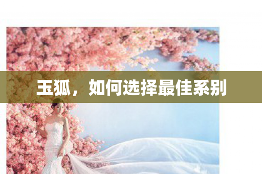 玉狐，如何选择最佳系别
