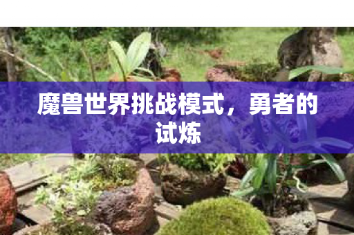 魔兽世界挑战模式，勇者的试炼