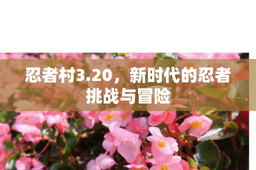 忍者村3.20，新时代的忍者挑战与冒险