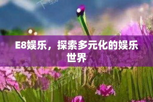 E8娱乐，探索多元化的娱乐世界