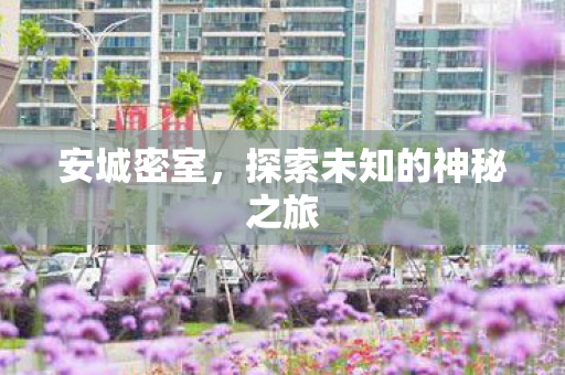 安城密室,探索未知的神秘之旅 安城密室,探索未知的神秘之旅