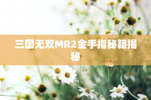 三国无双MR2金手指秘籍揭秘