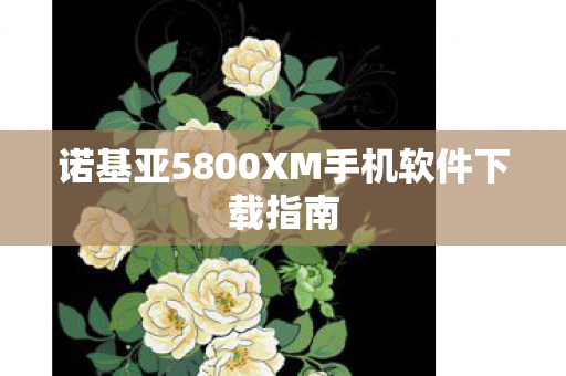 诺基亚5800XM手机软件下载指南