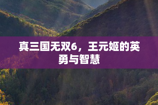 真三国无双6，王元姬的英勇与智慧