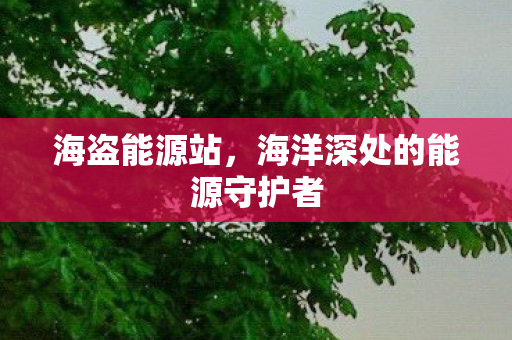 海盗能源站，海洋深处的能源守护者