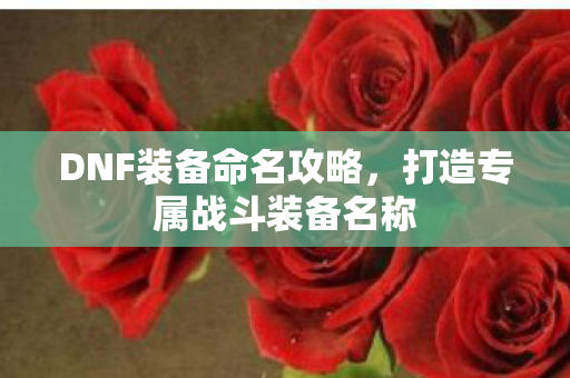 DNF装备命名攻略，打造专属战斗装备名称