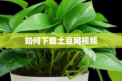 如何下载土豆网视频