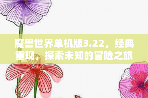 魔兽世界单机版3.22，经典重现，探索未知的冒险之旅