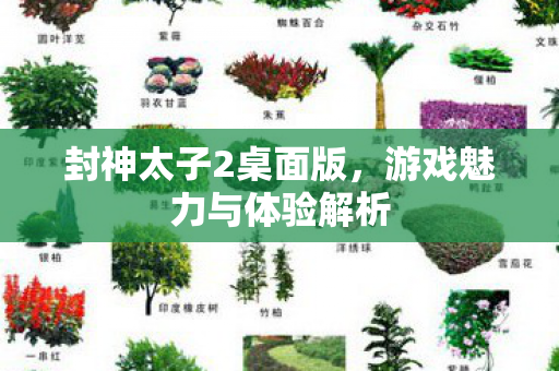 封神太子2桌面版，游戏魅力与体验解析