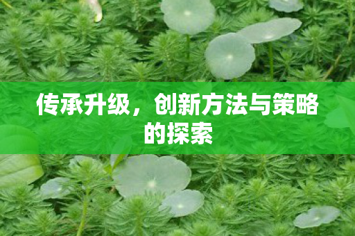 传承升级，创新方法与策略的探索