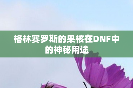 格林赛罗斯的果核在DNF中的神秘用途