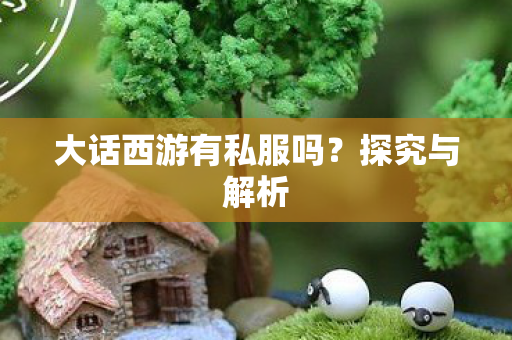 大话西游有私服吗？探究与解析