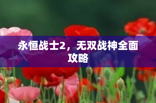 永恒战士2，无双战神全面攻略