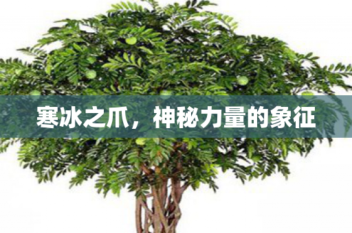 寒冰之爪，神秘力量的象征