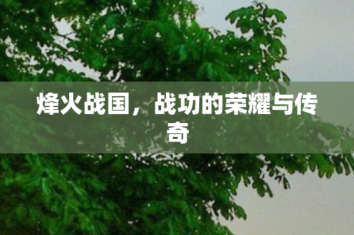 烽火战国，战功的荣耀与传奇