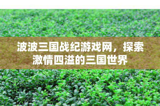 波波三国战纪游戏网，探索激情四溢的三国世界