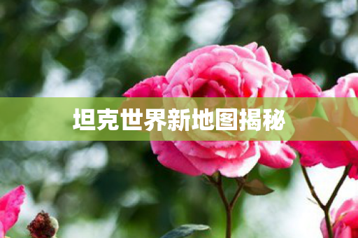 坦克世界新地图揭秘