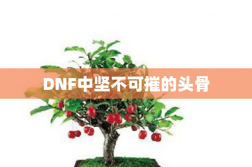 DNF中坚不可摧的头骨