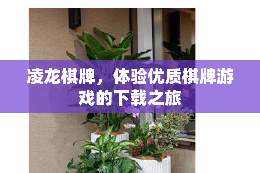 凌龙棋牌，体验优质棋牌游戏的下载之旅