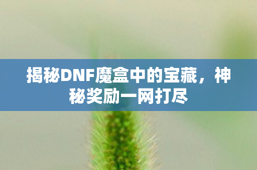 揭秘DNF魔盒中的宝藏，神秘奖励一网打尽