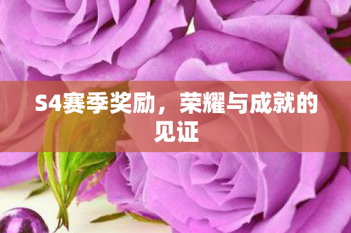 S4赛季奖励，荣耀与成就的见证