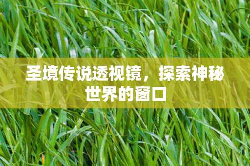 圣境传说透视镜，探索神秘世界的窗口