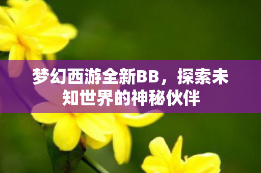 梦幻西游全新BB，探索未知世界的神秘伙伴