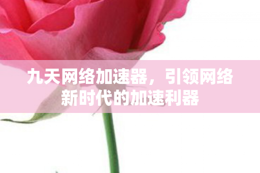 九天网络加速器，引领网络新时代的加速利器