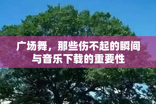 广场舞，那些伤不起的瞬间与音乐下载的重要性