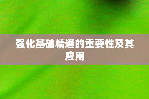 强化基础精通的重要性及其应用