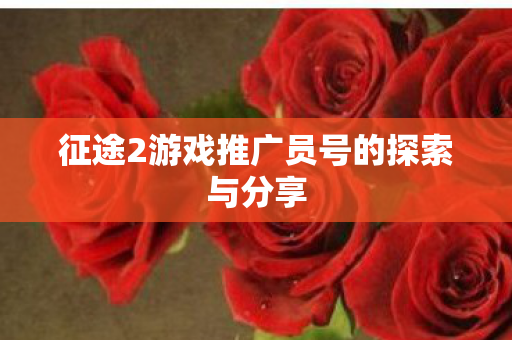 征途2游戏推广员号的探索与分享