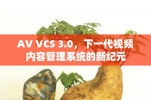 AV VCS 3.0，下一代视频内容管理系统的新纪元
