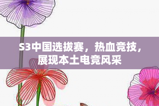 S3中国选拔赛，热血竞技，展现本土电竞风采