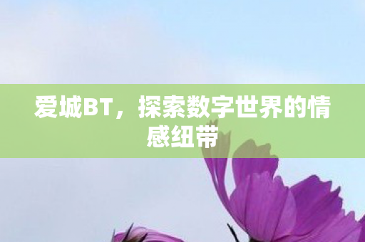 爱城BT，探索数字世界的情感纽带