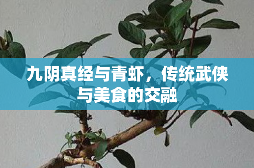 九阴真经与青虾，传统武侠与美食的交融