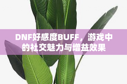 DNF好感度BUFF，游戏中的社交魅力与增益效果