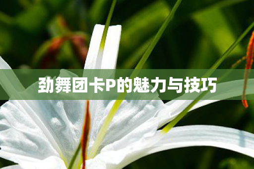劲舞团卡P的魅力与技巧