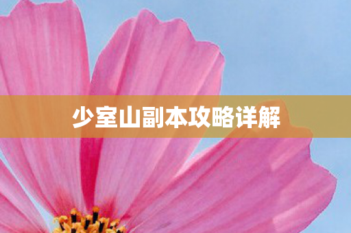 少室山副本攻略详解