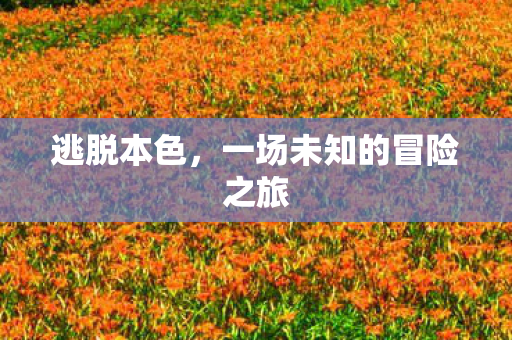 逃脱本色，一场未知的冒险之旅