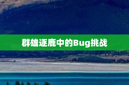群雄逐鹿中的Bug挑战