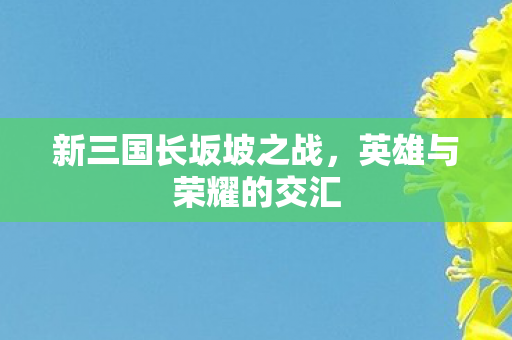 新三国长坂坡之战，英雄与荣耀的交汇