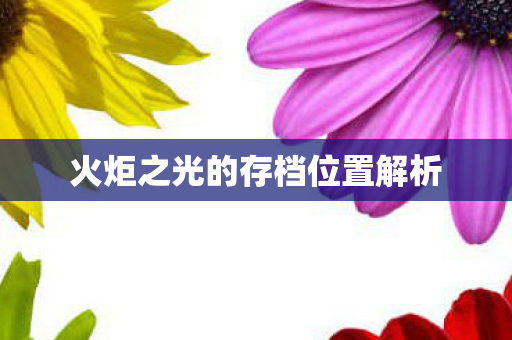 火炬之光的存档位置解析